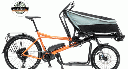 HaseBikes - Pino Cargo (N°20)